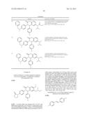 SUBSTITUTED ISOQUINOLINONES AND QUINAZOLINONES diagram and image