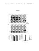 MACROCYCLIC COMPOUNDS AND METHODS OF TREATMENT diagram and image