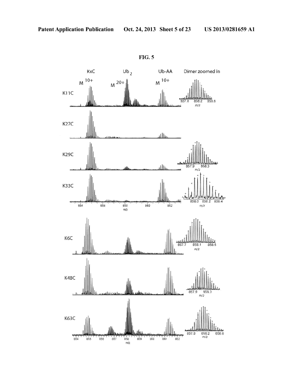 WELL-DEFINED OLIGOMERS OF UBIQUITIN AND UBIQUITIN-LIKE POLYPEPTIDES, AND     METHODS FOR PREPARING SAME - diagram, schematic, and image 06