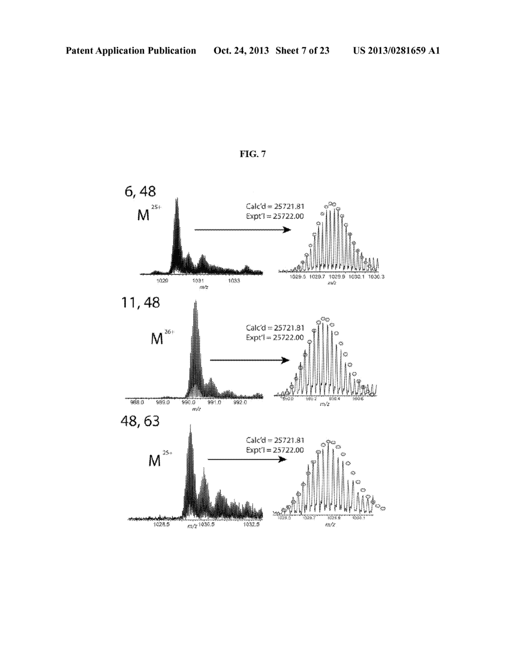 WELL-DEFINED OLIGOMERS OF UBIQUITIN AND UBIQUITIN-LIKE POLYPEPTIDES, AND     METHODS FOR PREPARING SAME - diagram, schematic, and image 08