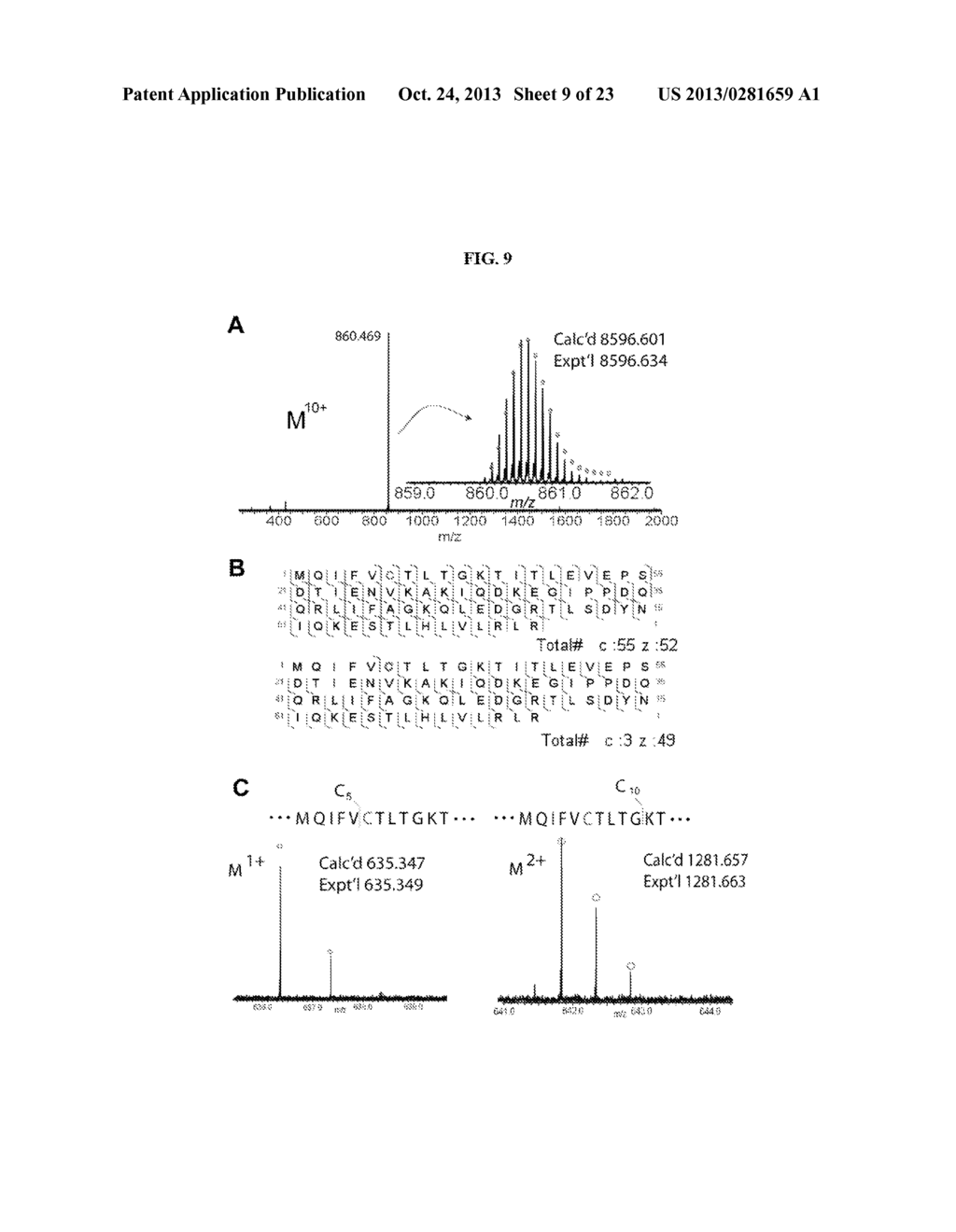 WELL-DEFINED OLIGOMERS OF UBIQUITIN AND UBIQUITIN-LIKE POLYPEPTIDES, AND     METHODS FOR PREPARING SAME - diagram, schematic, and image 10