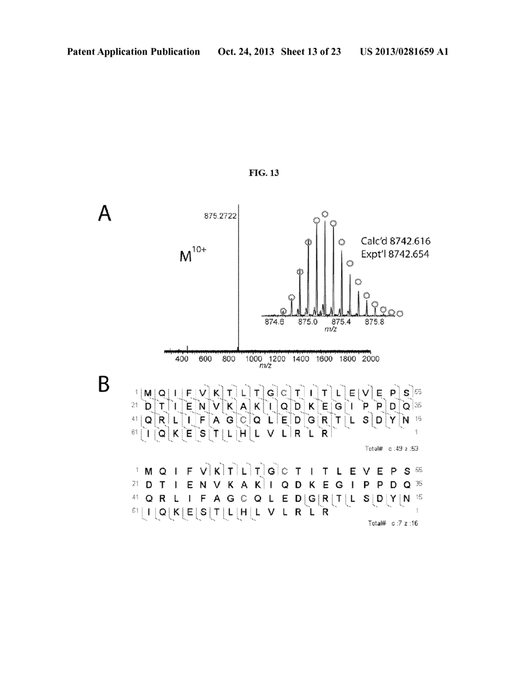 WELL-DEFINED OLIGOMERS OF UBIQUITIN AND UBIQUITIN-LIKE POLYPEPTIDES, AND     METHODS FOR PREPARING SAME - diagram, schematic, and image 14