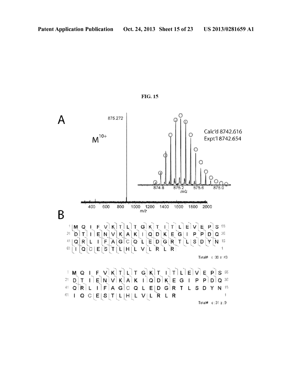 WELL-DEFINED OLIGOMERS OF UBIQUITIN AND UBIQUITIN-LIKE POLYPEPTIDES, AND     METHODS FOR PREPARING SAME - diagram, schematic, and image 16