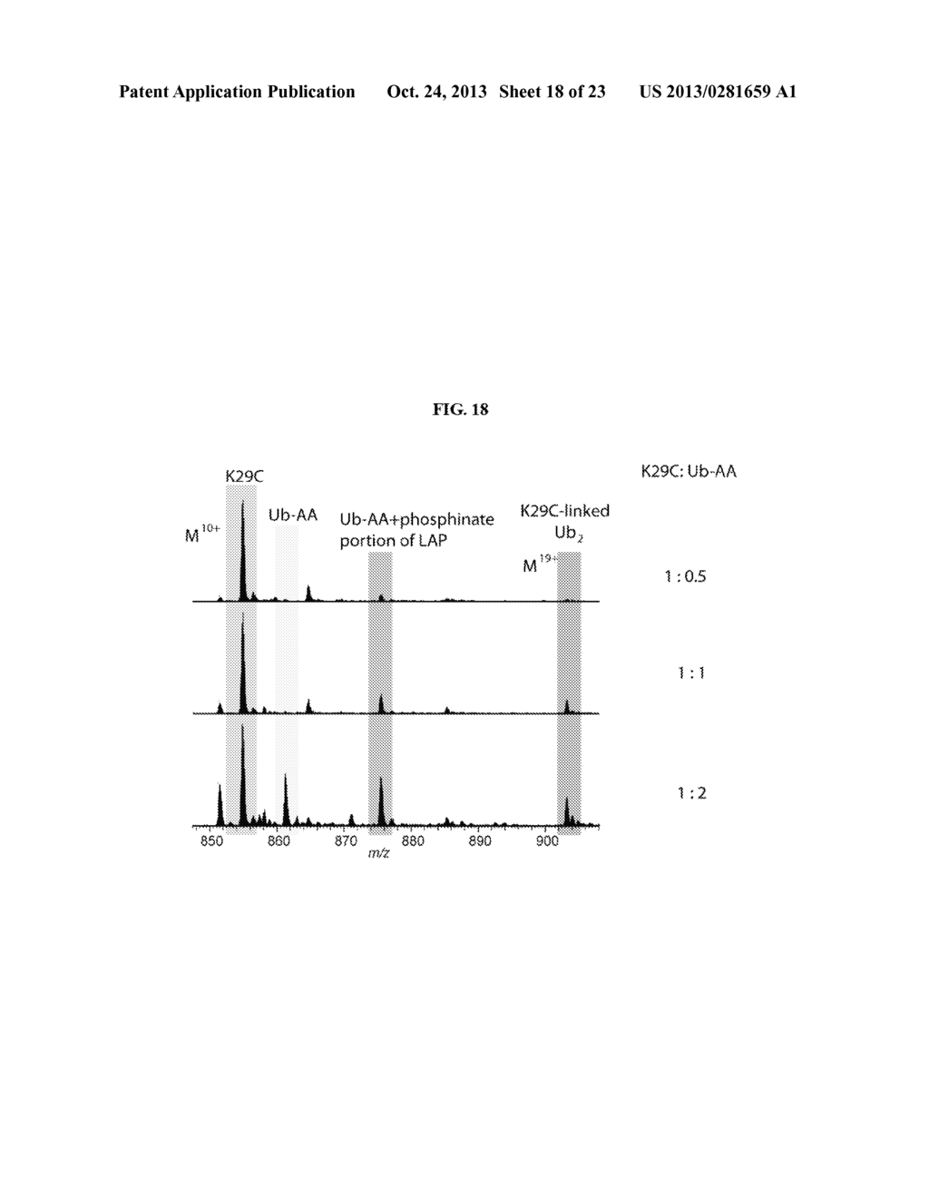 WELL-DEFINED OLIGOMERS OF UBIQUITIN AND UBIQUITIN-LIKE POLYPEPTIDES, AND     METHODS FOR PREPARING SAME - diagram, schematic, and image 19