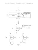 iRNA  AGENTS WITH BIOCLEAVABLE TETHERS diagram and image