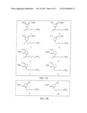 iRNA  AGENTS WITH BIOCLEAVABLE TETHERS diagram and image