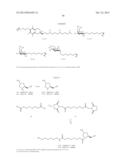 iRNA  AGENTS WITH BIOCLEAVABLE TETHERS diagram and image