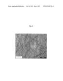 SODIUM DIFORMATE PRODUCTION AND USE diagram and image