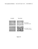 BIOPHOTONIC COMPOSITIONS AND METHODS FOR PROVIDING BIOPHOTONIC TREATMENT diagram and image