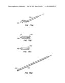 ENDOLUMINAL FILTER diagram and image