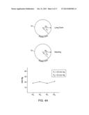 Adjustable Elastic Profile Compression Garment diagram and image