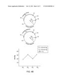 Adjustable Elastic Profile Compression Garment diagram and image