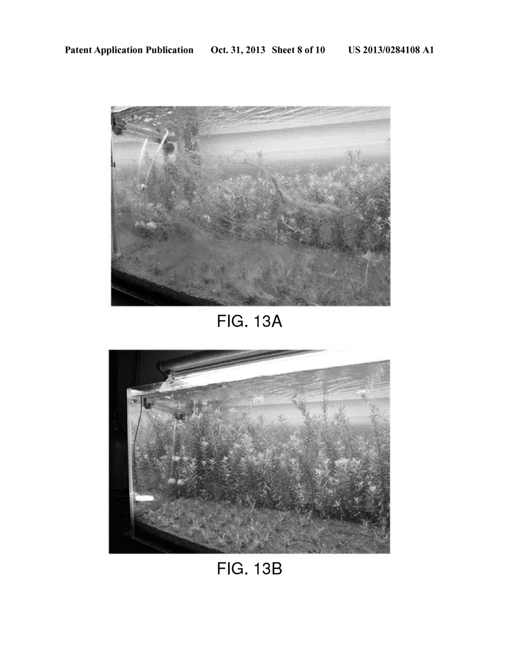 APPARATUS FOR CONTROLLING ALGAL BLOOMS AND KILLING PATHOGENS IN FISH TANK - diagram, schematic, and image 09