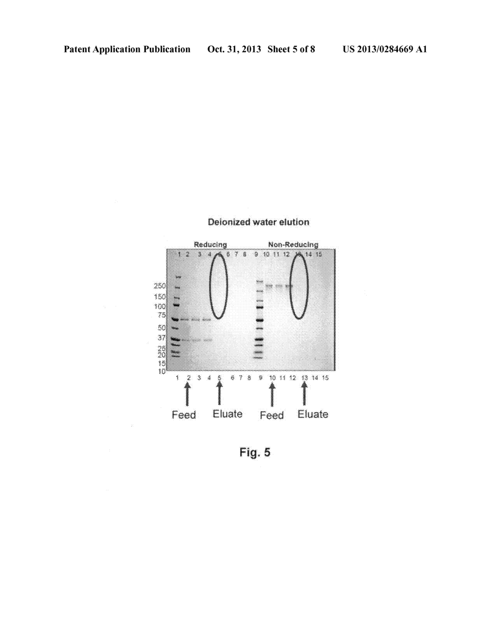 NEGATIVELY CHARGED POROUS MEDIUM FOR REMOVING PROTEIN AGGREGATES - diagram, schematic, and image 06