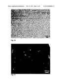 PROCESS FOR PRODUCING HIGHLY ORDERED NANOPILLAR OR NANOHOLE STRUCTURES ON     LARGE AREAS diagram and image