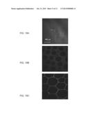 NANOWIRES, METHOD OF FABRICATION THE SAME AND USES THEREOF diagram and image