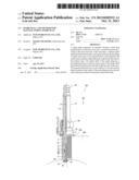 SPARK PLUG, AND METHOD FOR MANUFACTURING SPARK PLUG diagram and image