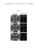 MICROFLUIDIC CHIP FOR SUSCEPTIBILITY OF SUPERPARAMAGNETIC NANOPARTICLES OF     BEAD AND DROPLET TYPES AND MEASURING METHOD FOR SUSCEPTIBILITY USING THE     SAME diagram and image