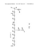 BROAD BAND DIPLEXER USING SUSPENDED STRIP-LINE CAPACITOR TECHNOLOGY diagram and image