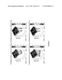 Inkjet Nozzle Flushing Mechanism diagram and image