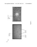 OPTICAL BASE PLATE ALIGNMENT diagram and image