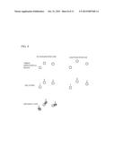 BIOMETRIC AUTHENTICATION DEVICE, BIOMETRIC AUTHENTICATION METHOD, AND     NON-TRANSITORY COMPUTER-READABLE RECORDING MEDIUM diagram and image