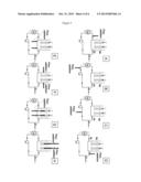 PROCESS FOR THE PURIFICATION OF PHOSPHORIC ACID diagram and image