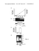 Luciferin Derivatives from Bicyclic Reactants and Aminothiol Derivatives     and Methods of Use Thereof diagram and image