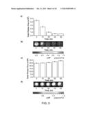 Luciferin Derivatives from Bicyclic Reactants and Aminothiol Derivatives     and Methods of Use Thereof diagram and image