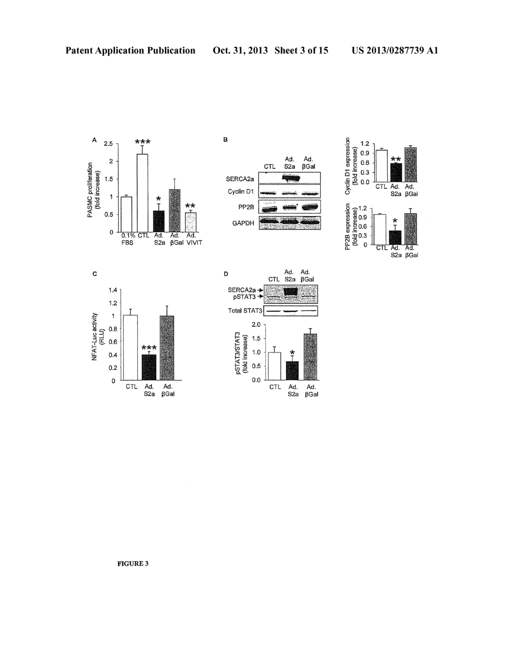 SERCA2 THERAPEUTIC COMPOSITIONS AND METHODS OF USE - diagram, schematic, and image 04