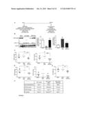 SERCA2 THERAPEUTIC COMPOSITIONS AND METHODS OF USE diagram and image