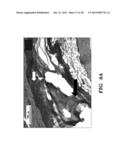 SILK FIBROIN AND POLYETHYLENE GLYCOL-BASED BIOMATERIALS diagram and image