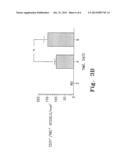 COMPOSITIONS AND METHODS TO STIMULATE VASCULAR STRUCTURE FORMATION diagram and image