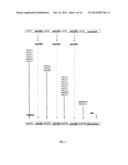 ANTIBODIES AND METHODS FOR MAKING AND USING THEM diagram and image