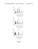 COMBINATION THERAPY FOR TREATMENT OF IMMUNE DISORDERS diagram and image