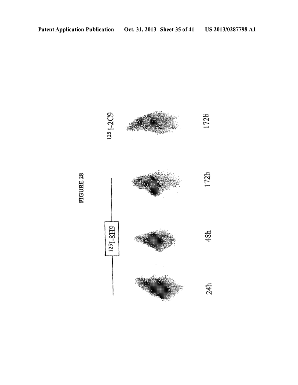 USES OF MONOCLONIAL ANTIBODY 8H9 - diagram, schematic, and image 36