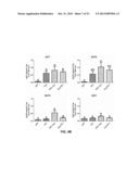 P97 PROTEIN AND USES THEREOF AS VACCINE ADJUVANT diagram and image