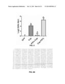 P97 PROTEIN AND USES THEREOF AS VACCINE ADJUVANT diagram and image