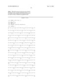 P97 PROTEIN AND USES THEREOF AS VACCINE ADJUVANT diagram and image