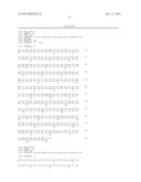 P97 PROTEIN AND USES THEREOF AS VACCINE ADJUVANT diagram and image