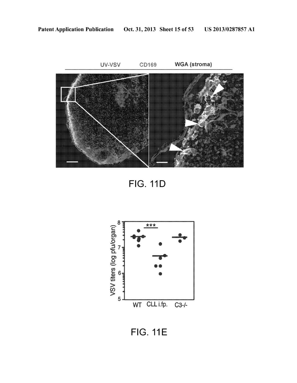 Vaccine Nanotechnology - diagram, schematic, and image 16