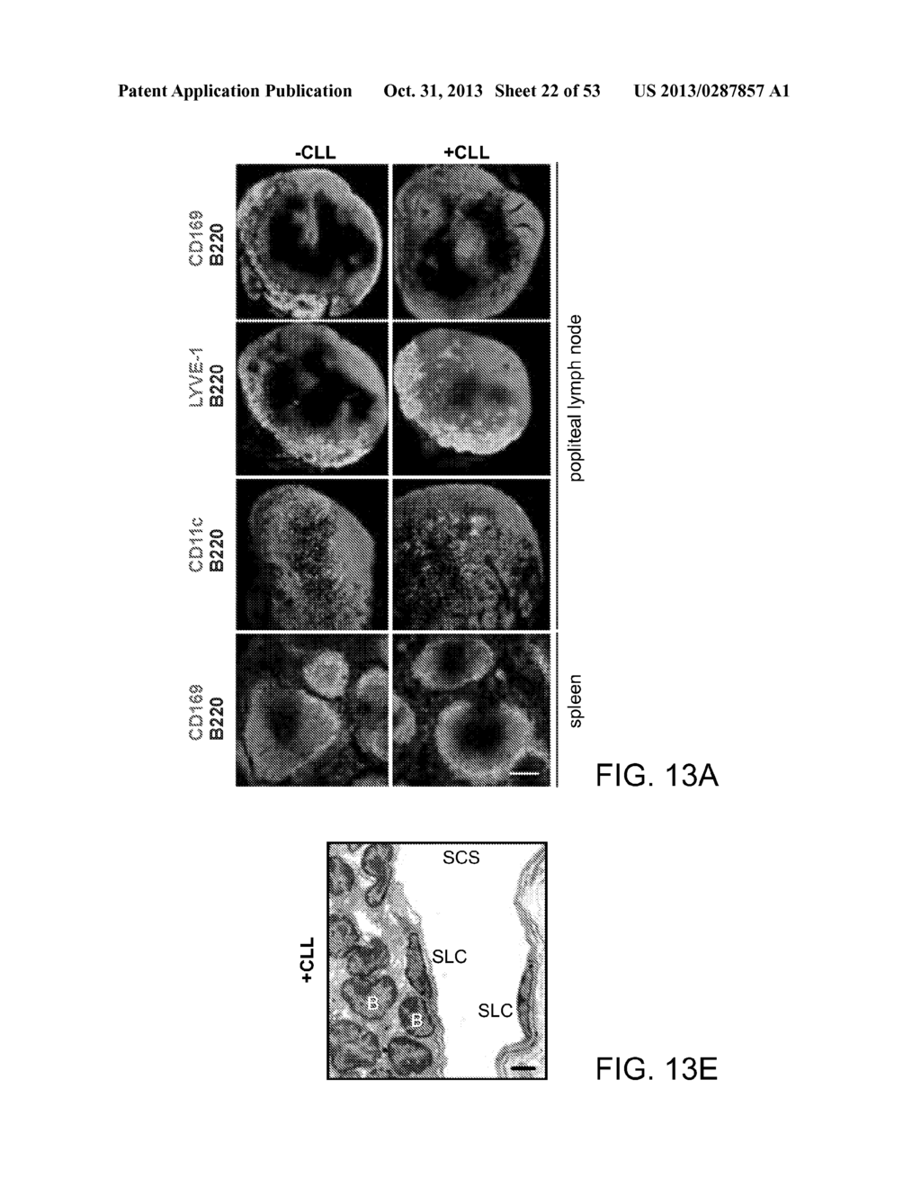 Vaccine Nanotechnology - diagram, schematic, and image 23