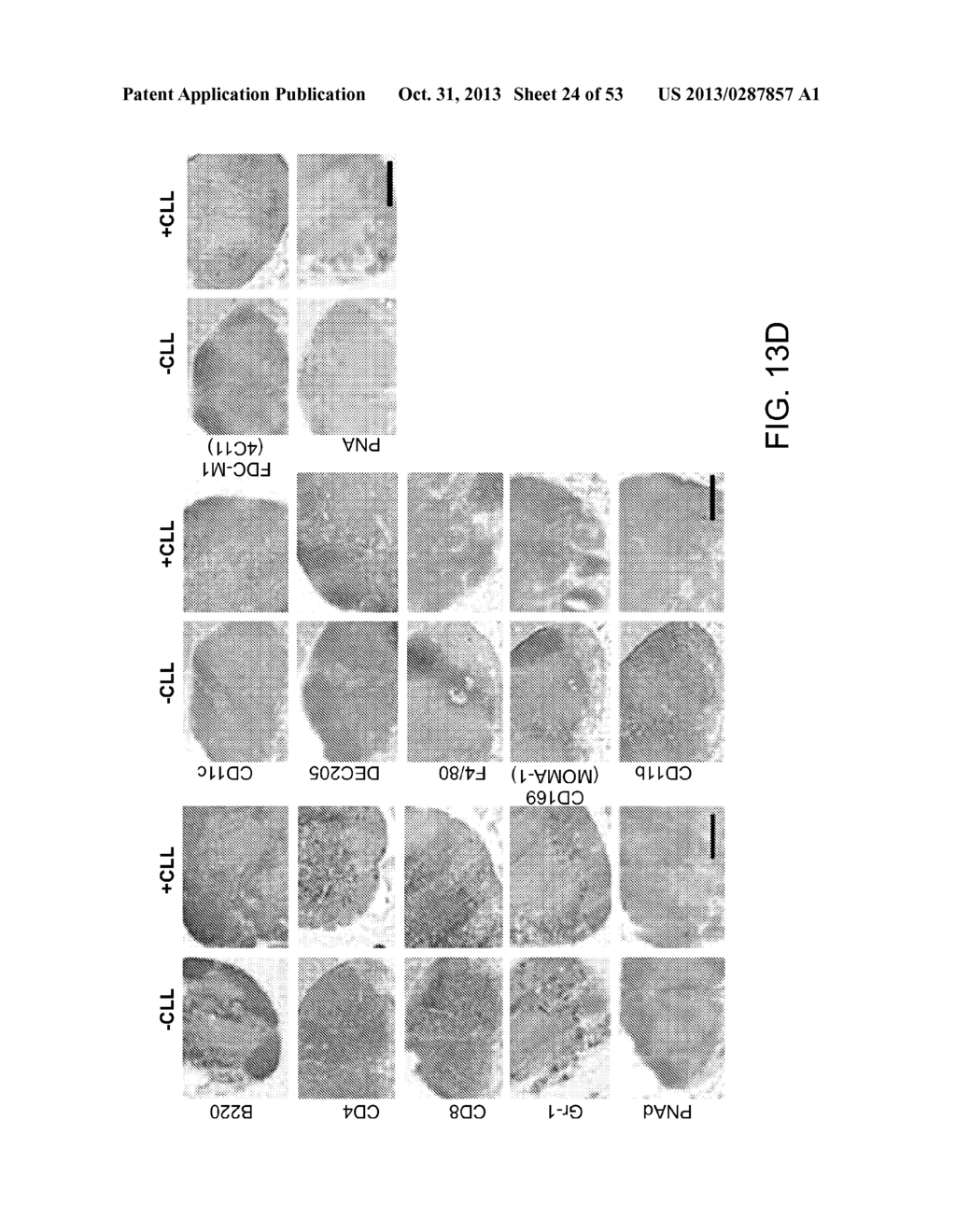 Vaccine Nanotechnology - diagram, schematic, and image 25