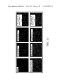 PHARMACEUTICAL COMPOSITION  AND METHOD FOR PREPARING A MEDICATION FOR     PROMOTING WOUND HEALING diagram and image