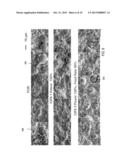 PLASMA SPRAY COATING PROCESS ENHANCEMENT FOR CRITICAL CHAMBER COMPONENTS diagram and image