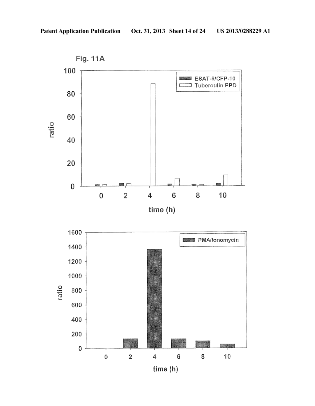 METHOD FOR DETECTION, DIFFERENTIATION AND QUANTIFICATION OF T CELL     POPULATIONS BY WAY OF REVERSE TRANSCRIPTION QUANTITATIVE REAL TIME PCR     (RT-qPCR) TECHNOLOGY - diagram, schematic, and image 15