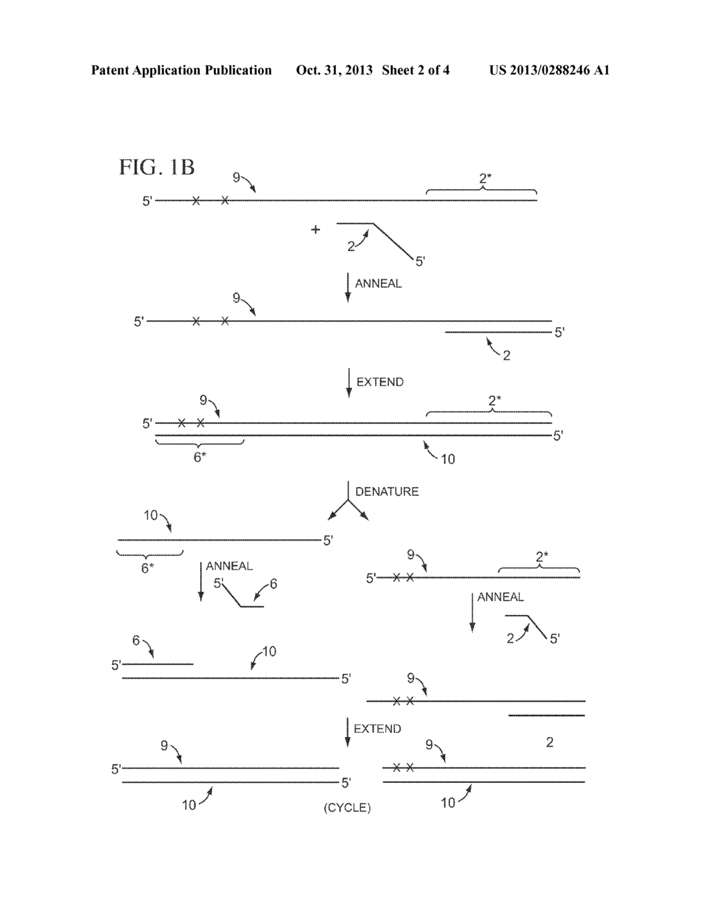 COMPOSITIONS, METHODS, AND KITS FOR ANALYZING DNA METHYLATION - diagram, schematic, and image 03