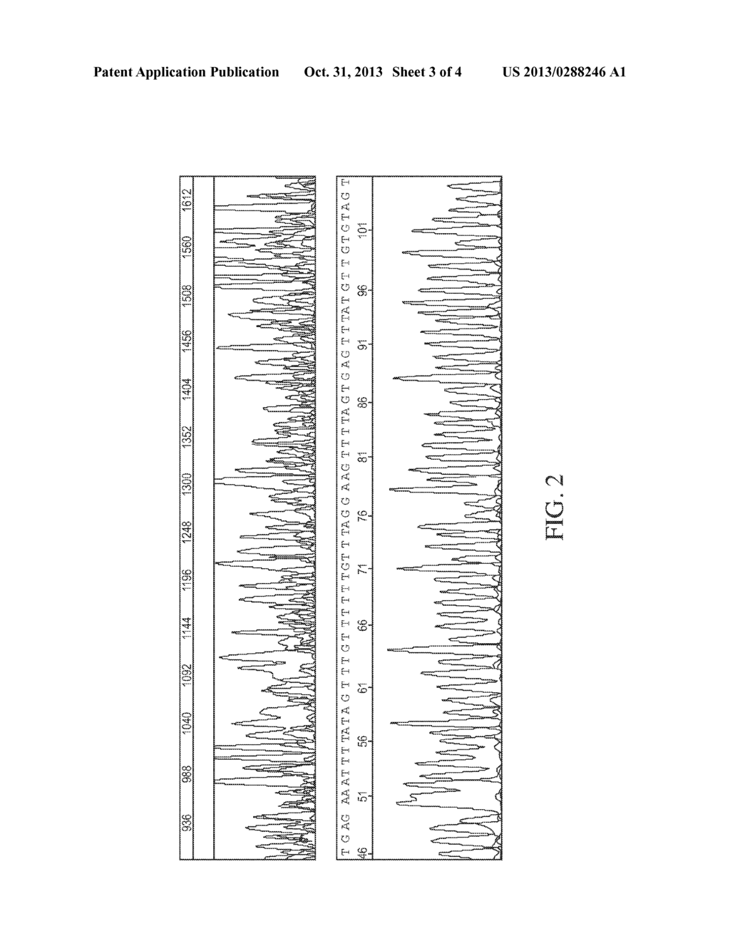 COMPOSITIONS, METHODS, AND KITS FOR ANALYZING DNA METHYLATION - diagram, schematic, and image 04