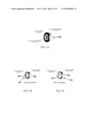 DISPOSABLE THERMAL IN-VITRO DIAGNOSTIC APPARATUS AND METHOD OF CONDUCTING     AN IN-VITRO DIAGNOSTIC TEST diagram and image