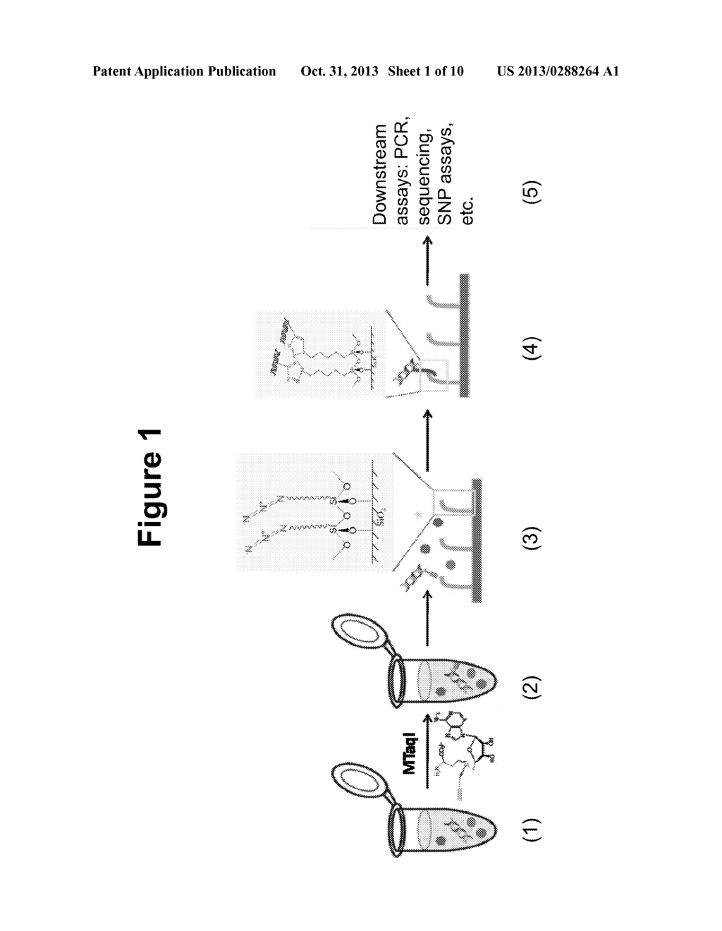 Development of a New Isolation Method with Higher Selectivity and     Efficiency - diagram, schematic, and image 02